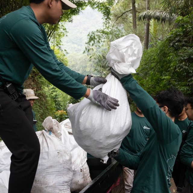 Forest Cleanup